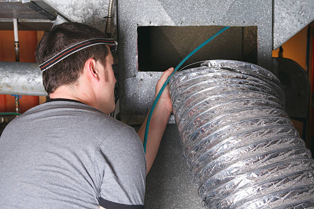 Best Home Air Vent Cleaning  in Wells, NV