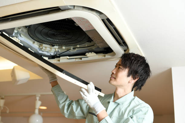 Best Affordable Air Duct Cleaning  in Wells, NV